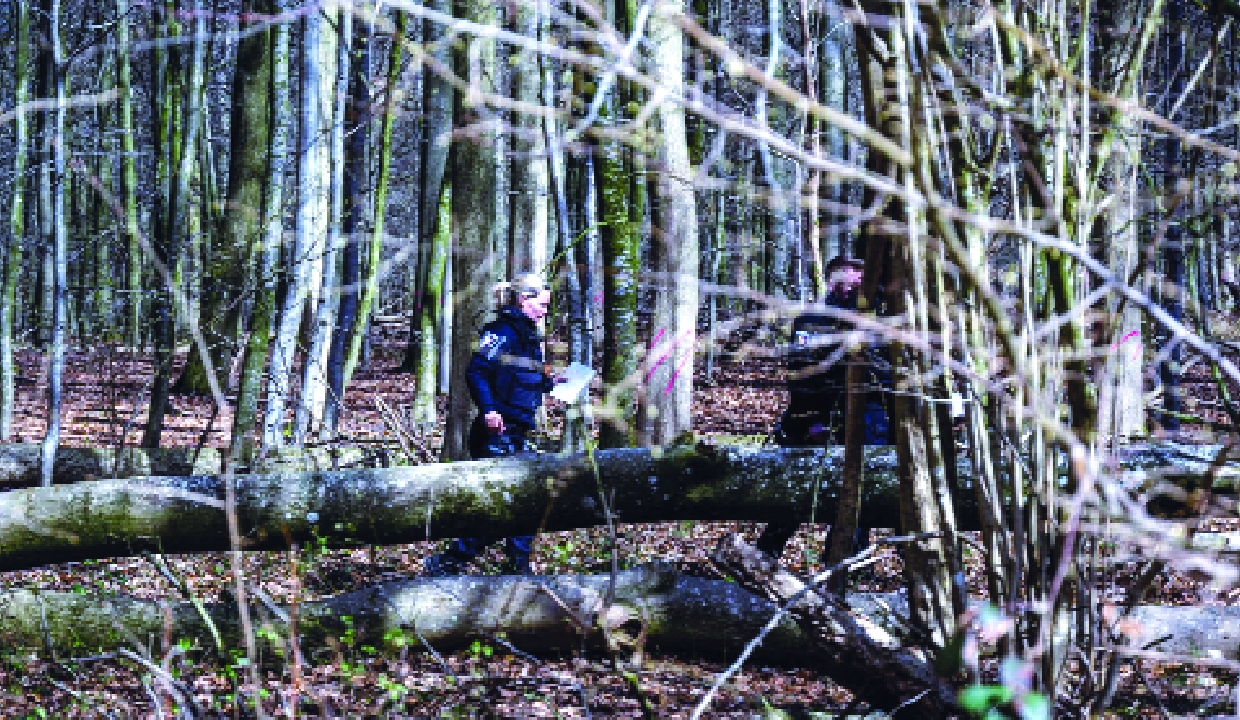 3 killed as high winds topple tree at Easter egg hunt in Germany