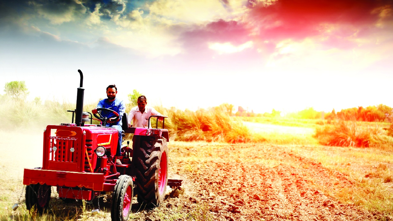 A third-time lucky seed bill?