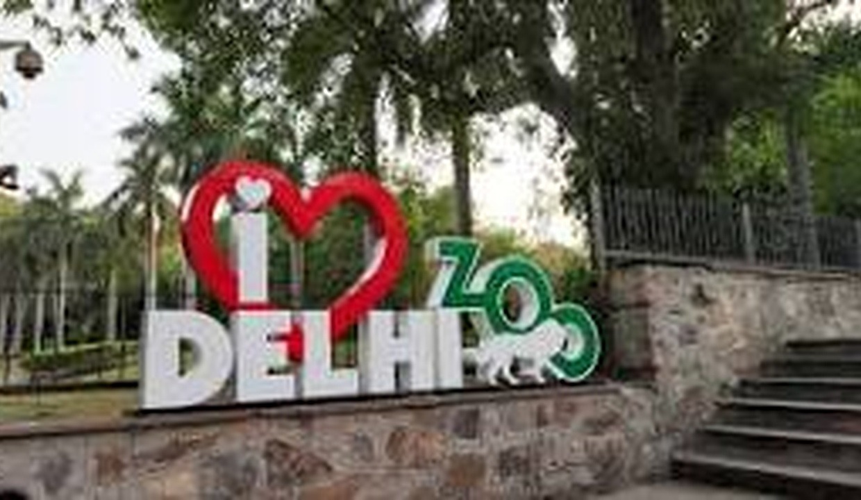 Activist alleges illegal slaughter at Delhi zoo; authority denies claim