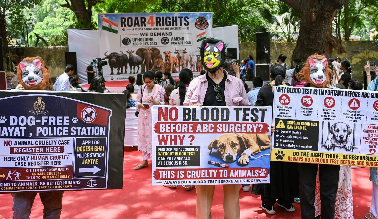 Animal Activists protest at Jantar Mantar against relocation of community dogs and Animal cruelty