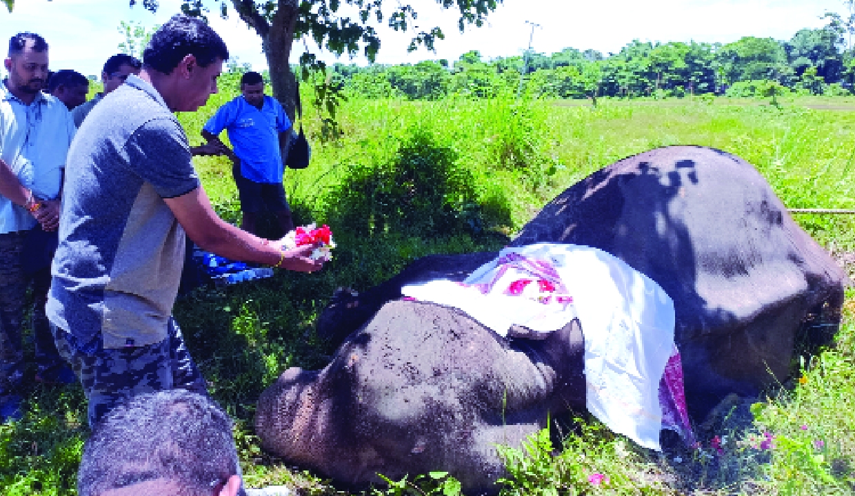 Assam Forest Minister pays tribute to Kaziranga’s legendary elephant Joymala