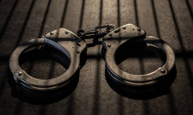 Auto driver, accomplice held for assaulting two schoolgirls in AP's Machilipatnam