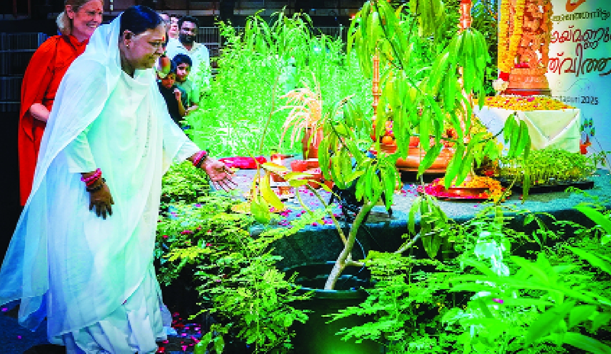 Carefully tend the garden of your mind