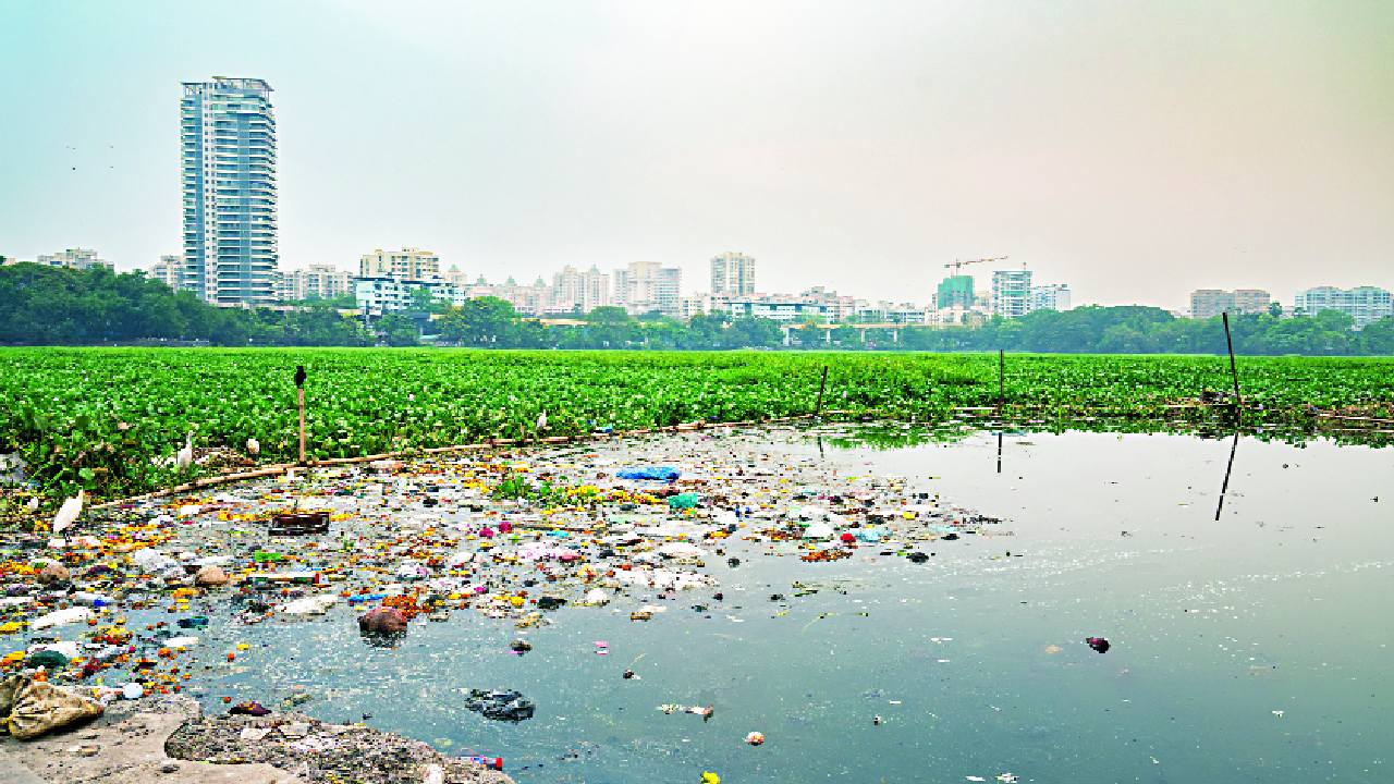 Compliance burden to competitive advantage: India’s smart environmental regulation