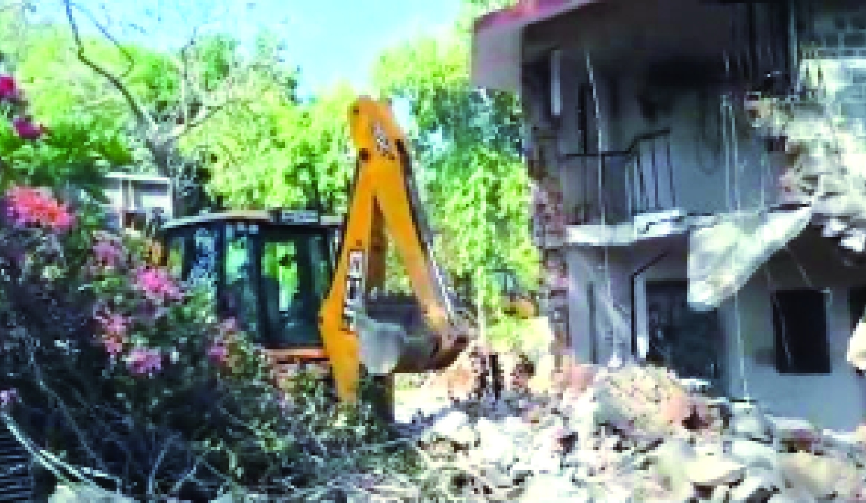 DDA carries out anti-encroachment drive, demolishes 23 farmhouses in Sainik Farm