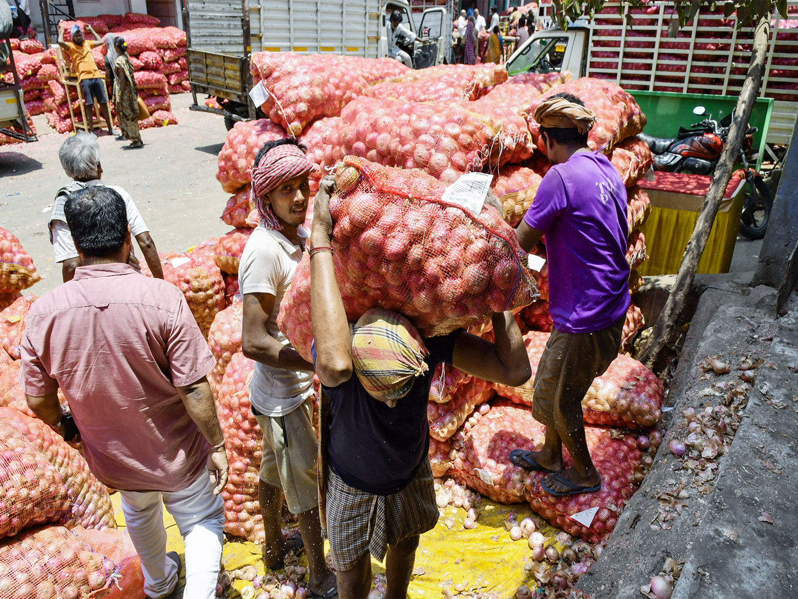 Delhi govt plans onion sale at Rs 35/kg to check price rise