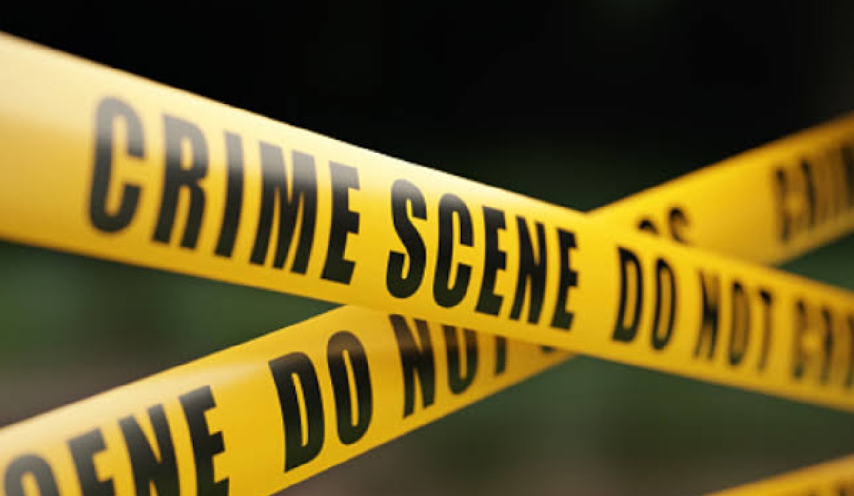 Delhi man accused of killing wife with tawa after argument walks into Police Station to confess