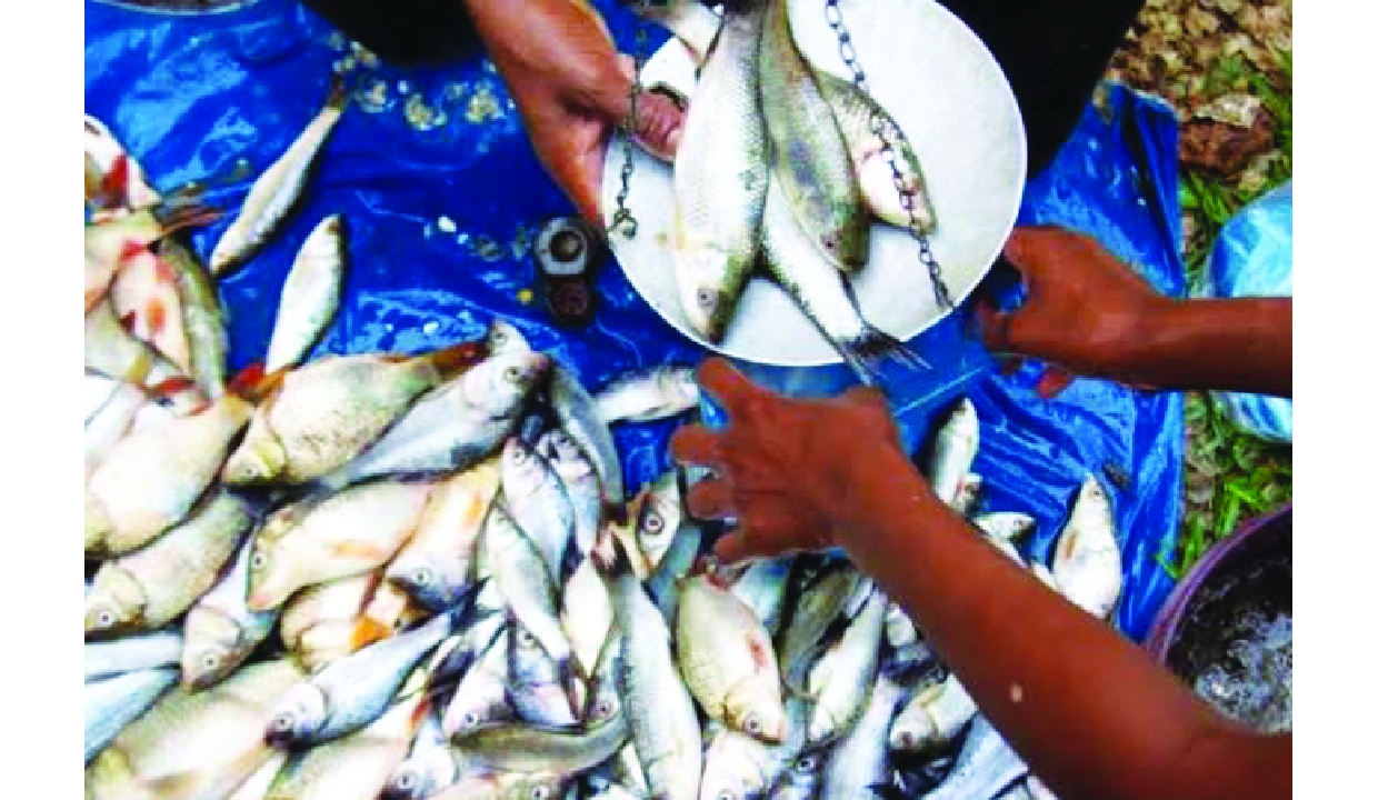 Fisheries secretary launches national plan for small-scale fishers