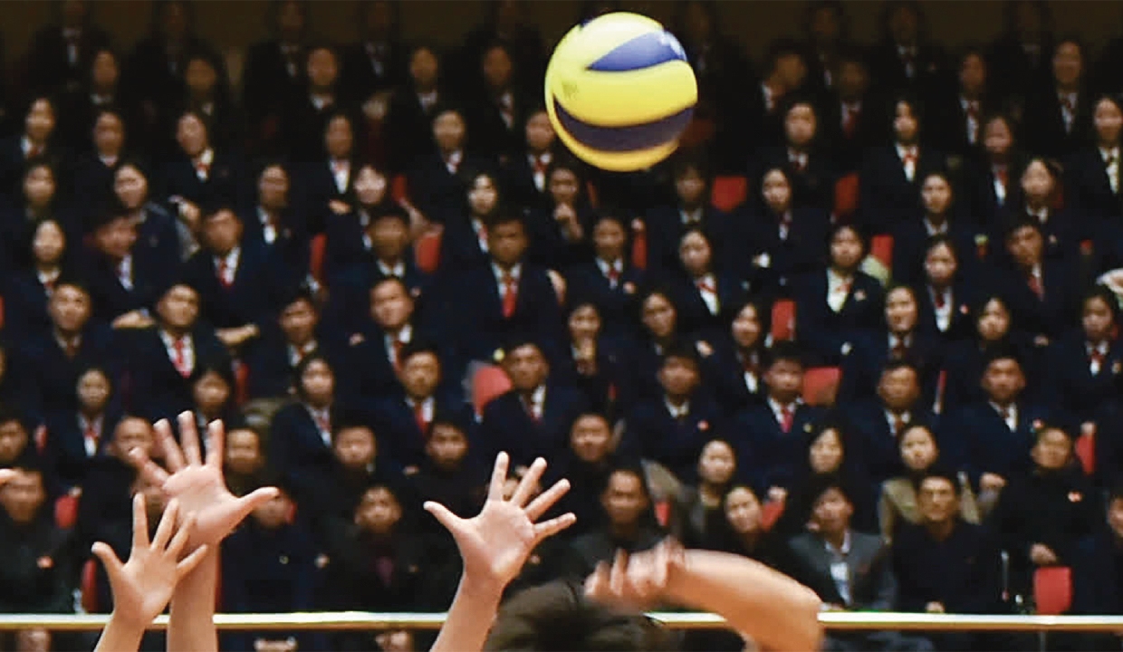 FIVB takes charge of VFI with steering committee