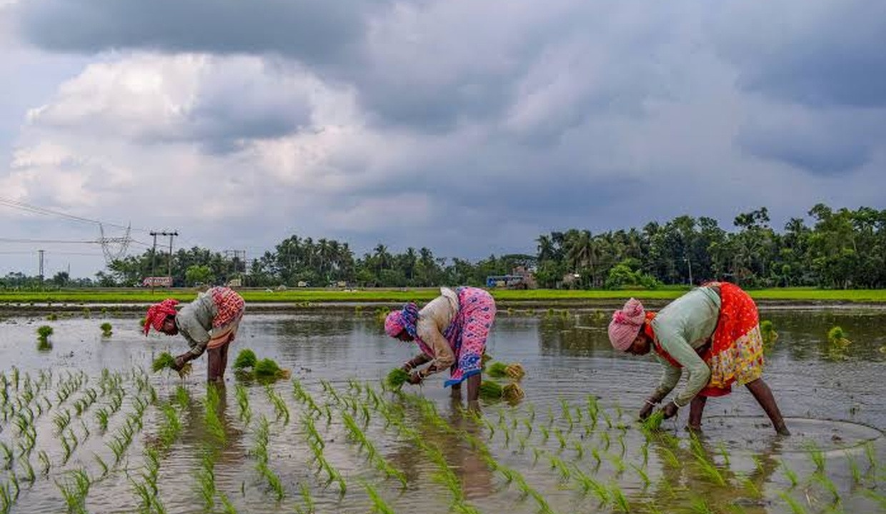 Foodgrain target cut to 373.93 million tonnes for 2026-27 on El Nino fears
