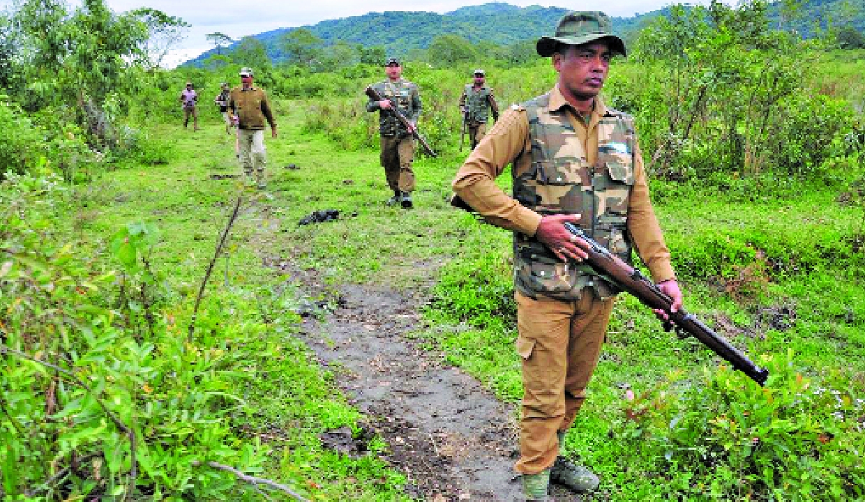 Forest martyrs: The silent war to protect India’s wilds