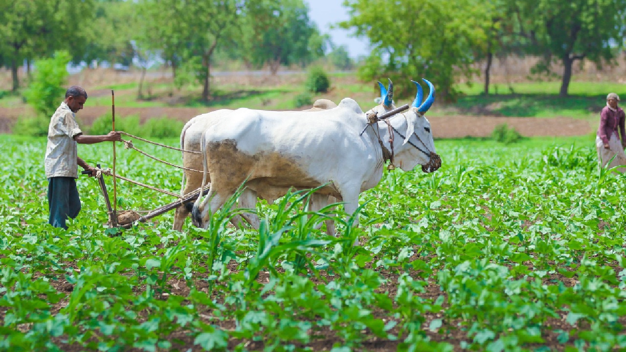 From soil to sustenance: India’s wellness depends on its farmers