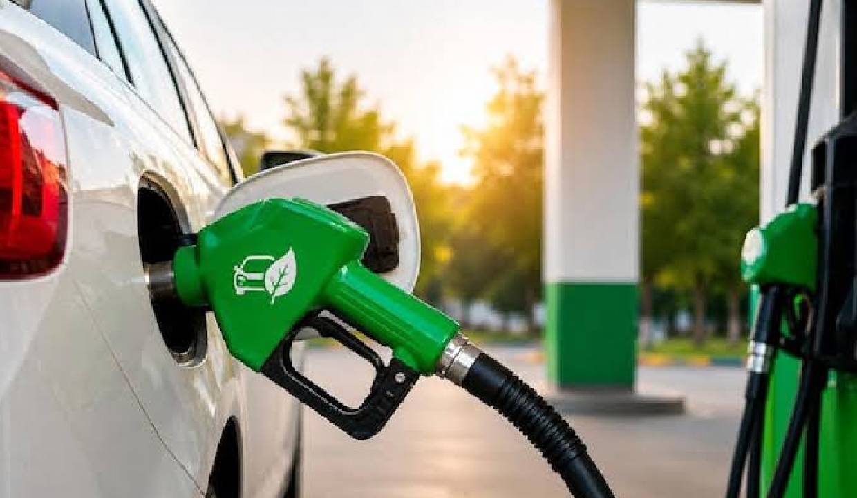 Government clarifies E25 fuel is only under testing, no rollout decision yet