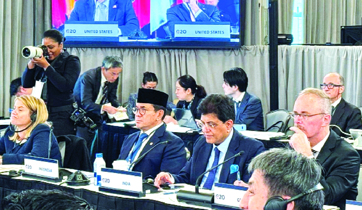 Goyal rejects excess capacity