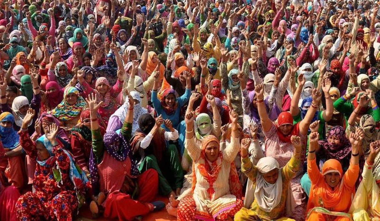 Haryana govt puts SC quota in Group A, B promotions on hold pending HC verdict