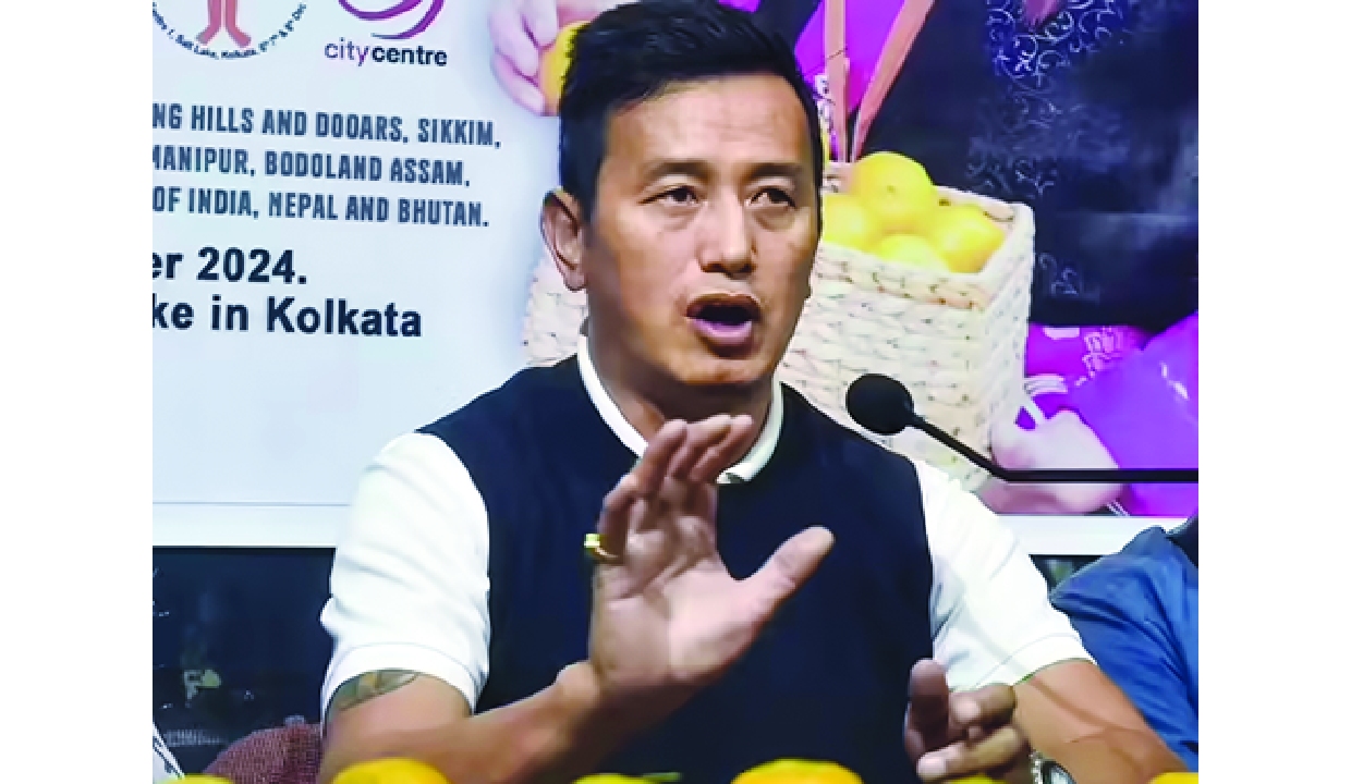 India has better chance if WC expanded to 64 teams, says Bhaichung