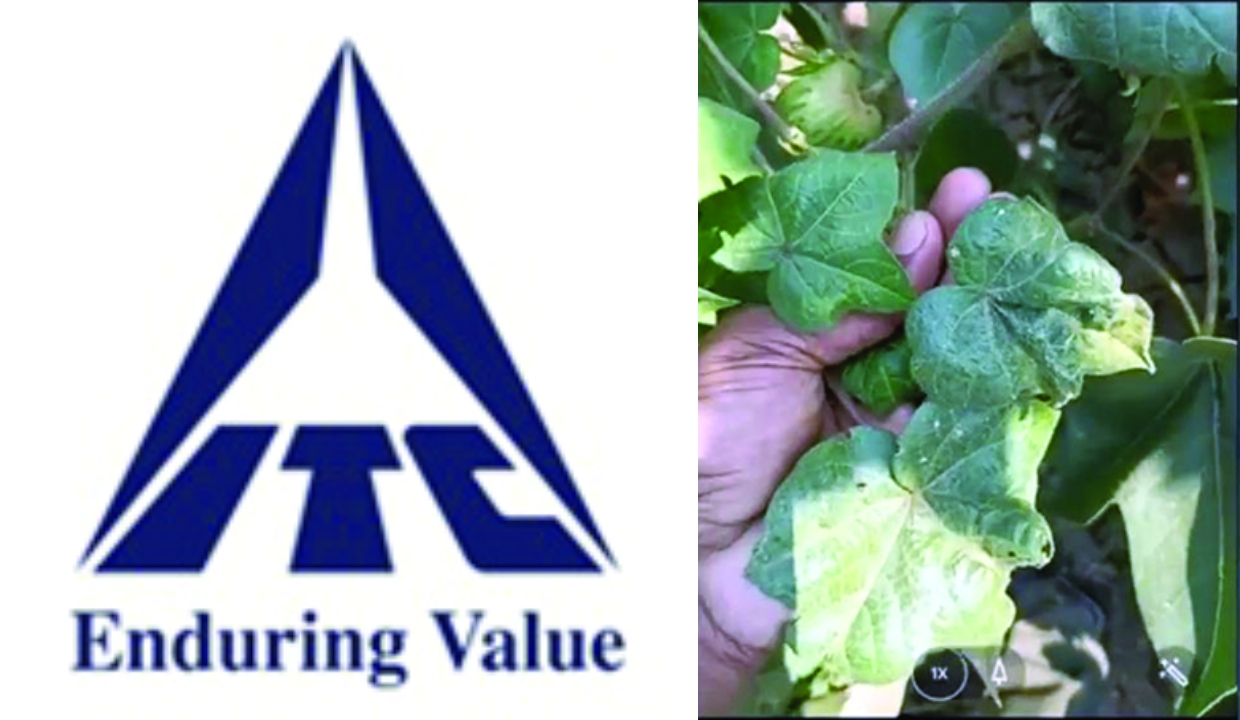 ITC’s AI ‘Crop Doctor’ helps farmers improve plant health for up to 70 crops
