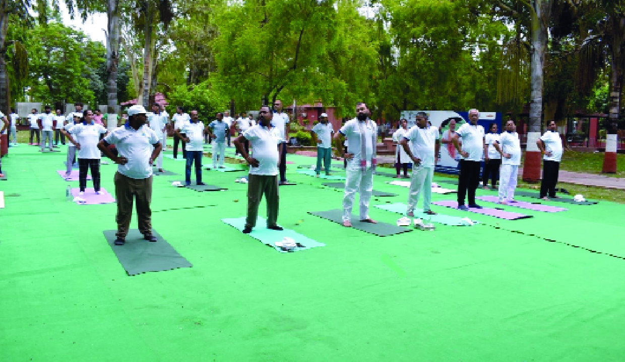 KVIC celebrates 12th International Yoga Day