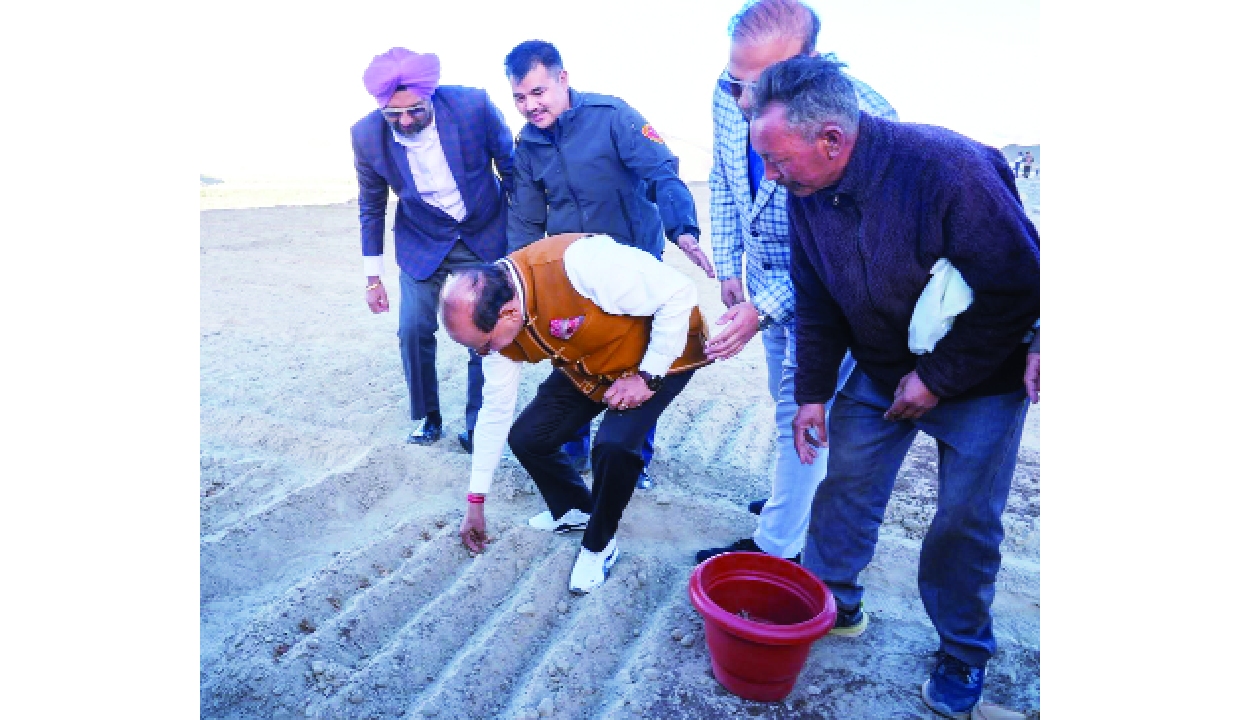 Ladakh starts saffron cultivation pilot in cold desert