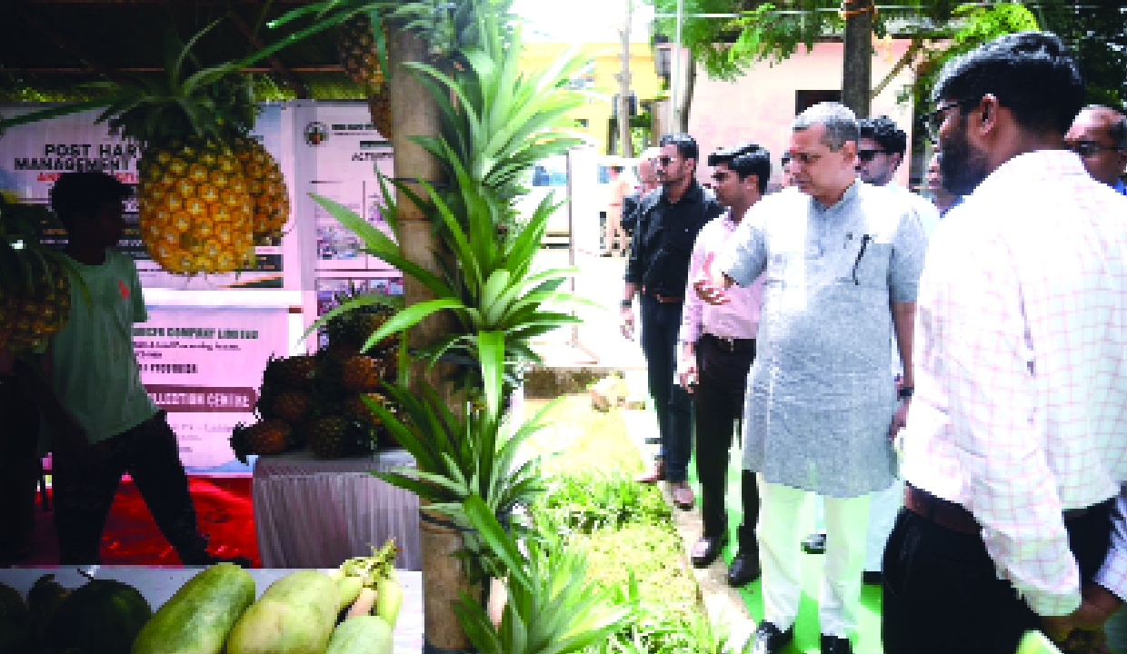Lakhipur’s Kew Pineapple enters Dubai market