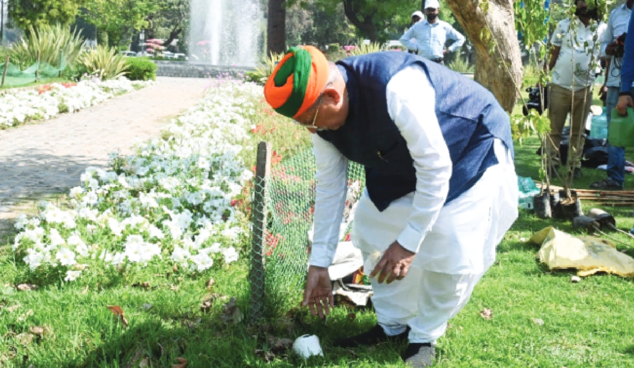 Law Minister leads a plantation drive in Delhi