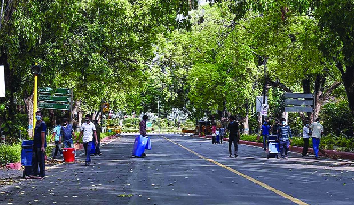 MCD launches clean-up drive