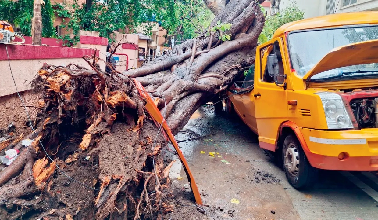 Mumbai orders probe after tree collapse kills 11-year-old in school van