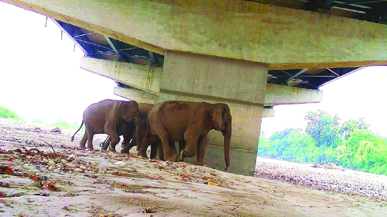 New highway between Delhi, Dehradun balances development with nature