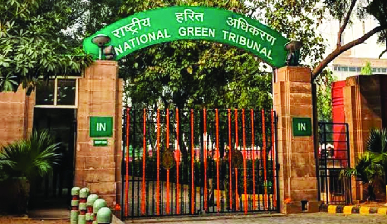 NGT asks NMCG to trace origin of Budhi Ganga river in UP