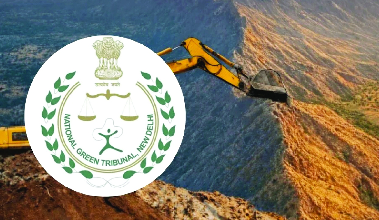 NGT directs action against mining firm for illegal road in Haryana’s Aravalli forest area