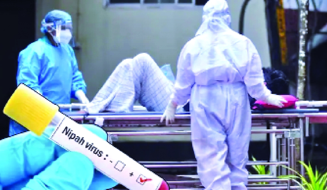 Nipah infection reported in Kerala’s Kozhikode, 77 contacts identified