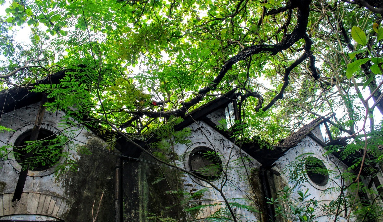 Odisha orders scrutiny of dilapidated buildings; identification deadline set