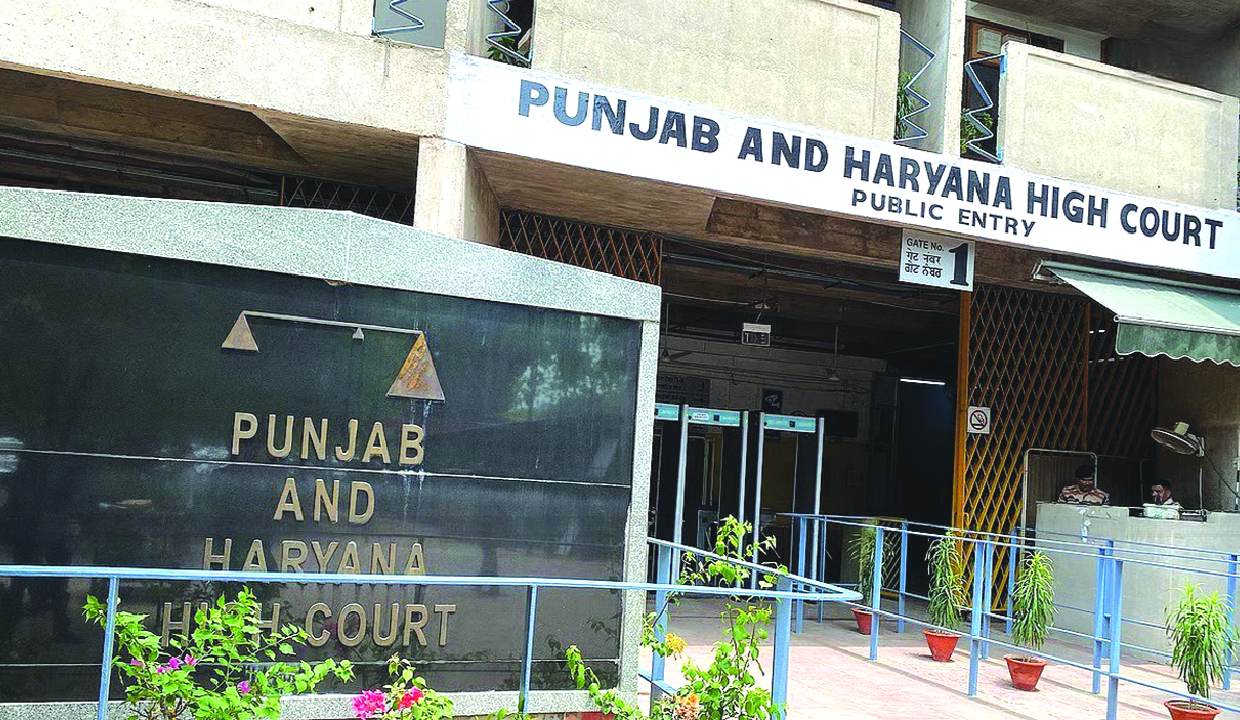 P&H High Court denies relief to lawyer for using casteist slur