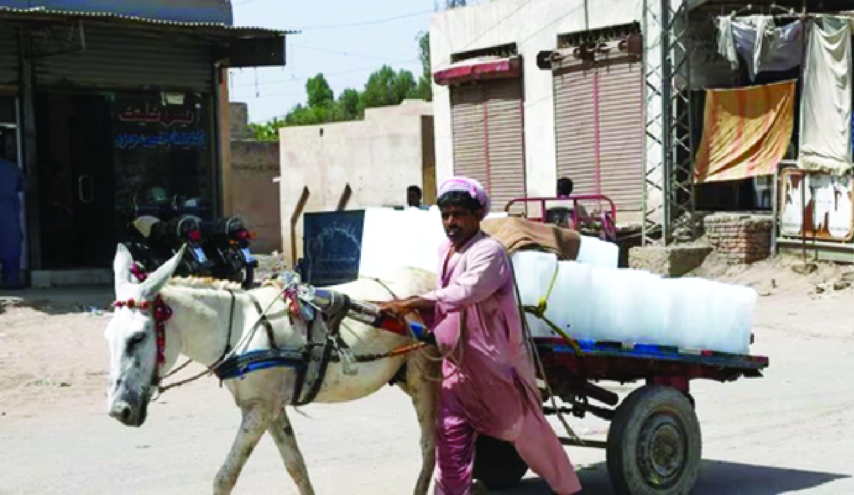 Pak’s Dadu records 51.5 degree Celsius, new high in Sindh