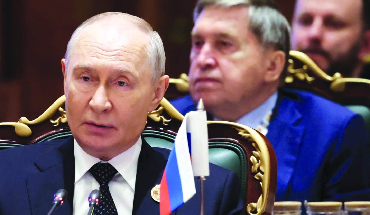 Putin pitches BRICS grain market
