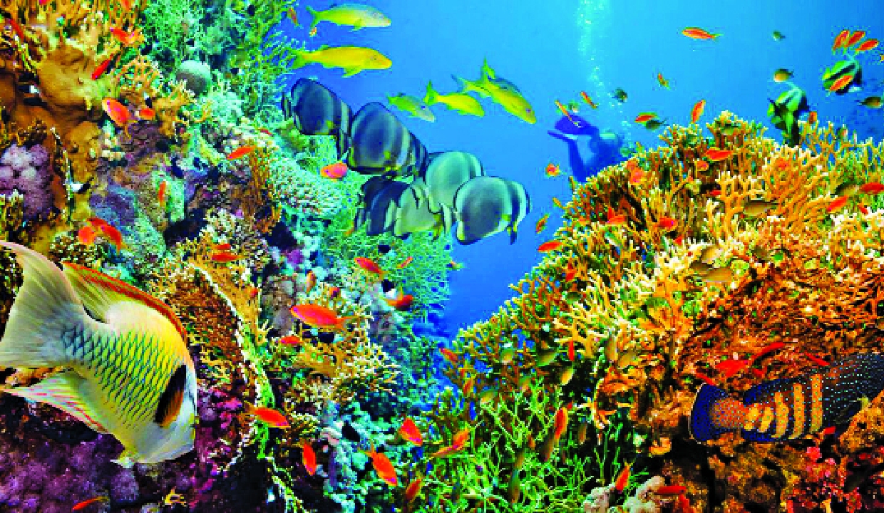 Rising seas, stronger cyclones and the fight for our blue planet