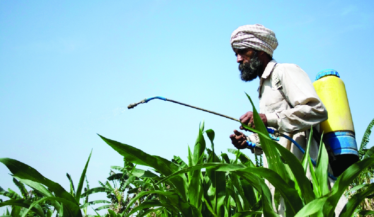 Science is powering India’s next agricultural revolution