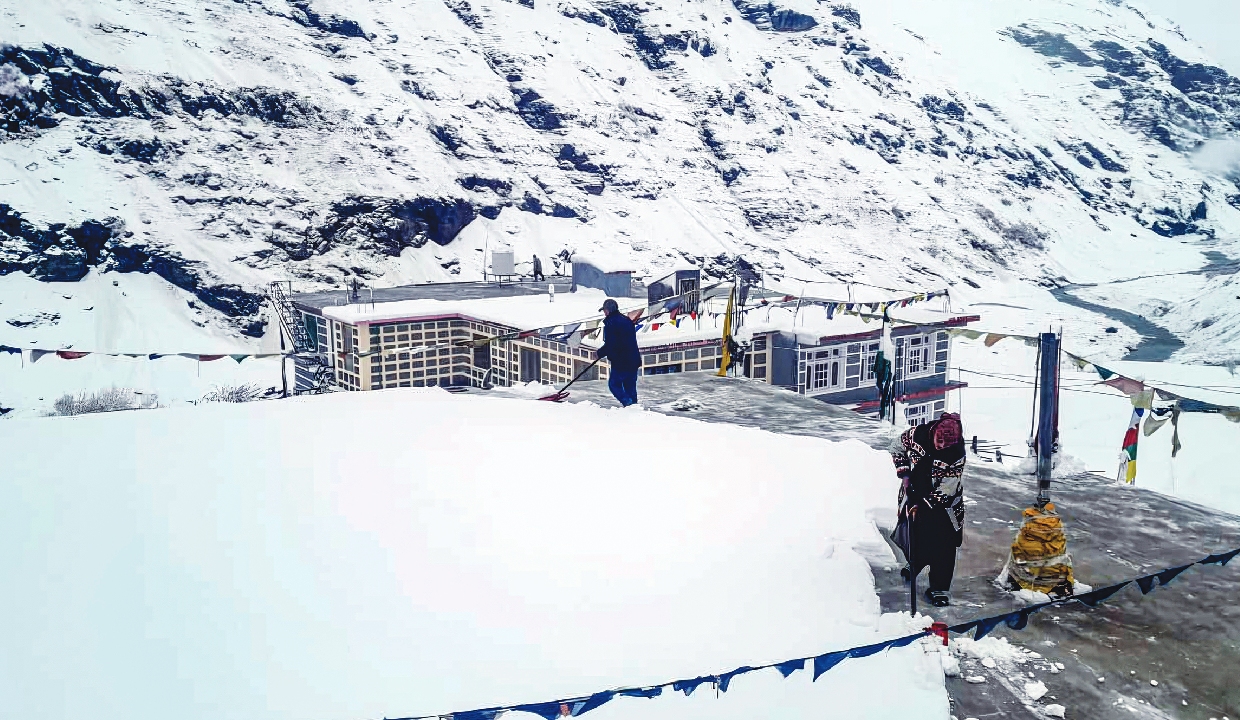 Snow in hills, rain in plains as western disturbance sweeps north India