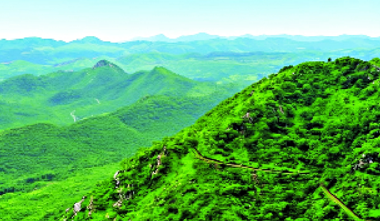 The Aravalli green shield: India’s living defence against the desert