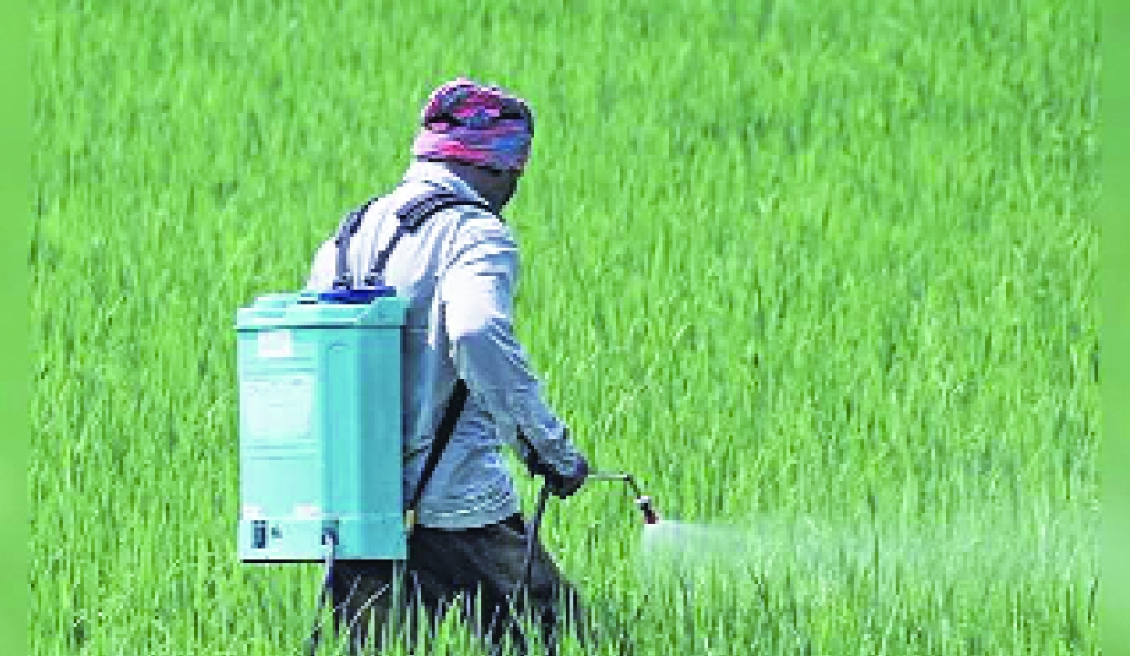 Urea policy to boost fertiliser, energy security: GTRC-India