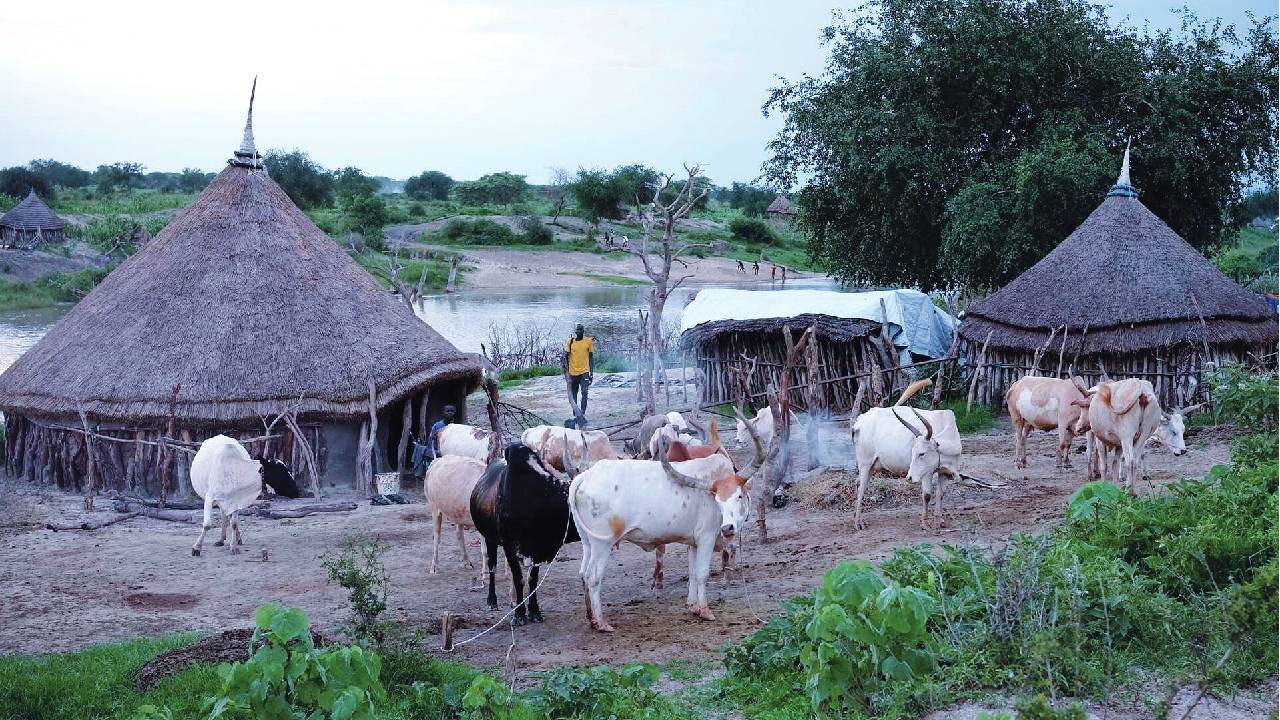 Villagers lured for aid, killed in South Sudan