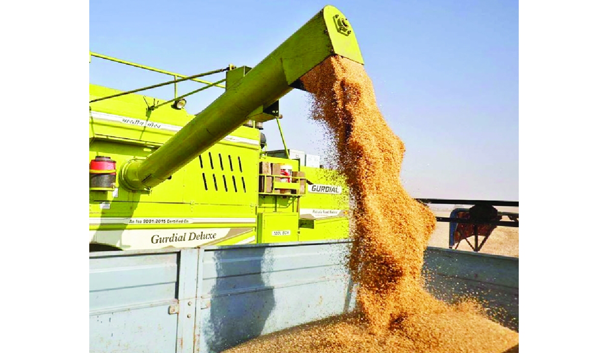 Wheat output seen up 2.29% at 120.65 million tonnes in FY26: Govt
