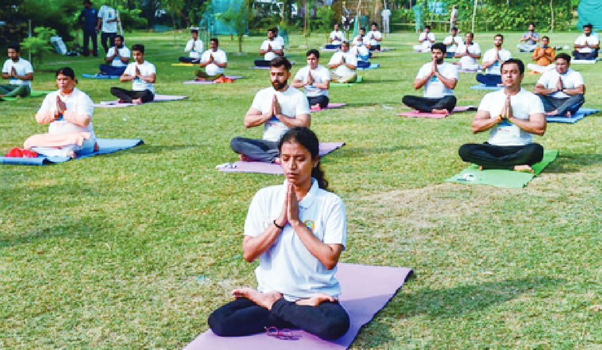 Yoga: The finest instrument for healthy ageing