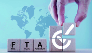 ‘India should reassess FTAs, move to sector-based investment screening’