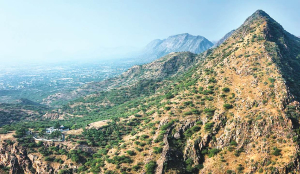 ‘Will not allow anyone to touch Aravalli’, says SC; refuses nod for Haryana’s zoo safari plan