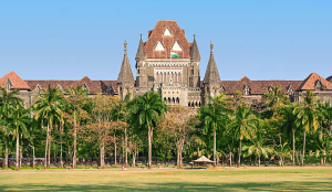 'Beyond scope of law': Bombay HC stays FDA's suspension of milk vendors' licenses