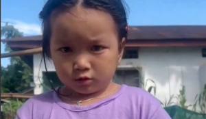 "We are not chinese, we are Indian": Arunachal girl's video goes viral