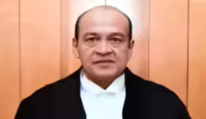 'Wild witch hunt': Delhi HC refuses plea seeking FIR, probe against Justice Yashwant Varma