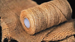 10,000 quintals of raw jute seized in anti-hoarding drive in Bengal; industry flags supply woes