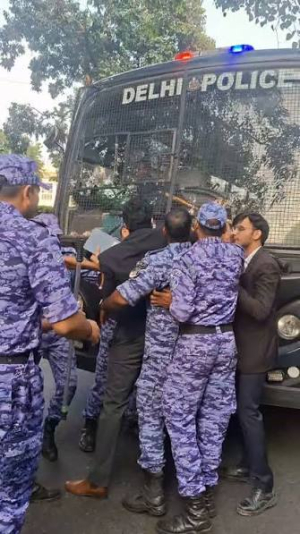 100 Harvard affiliates express solidarity with lawyer Shadan Farasat over alleged police manhandling